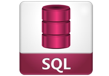 Dot Net Project Training Company